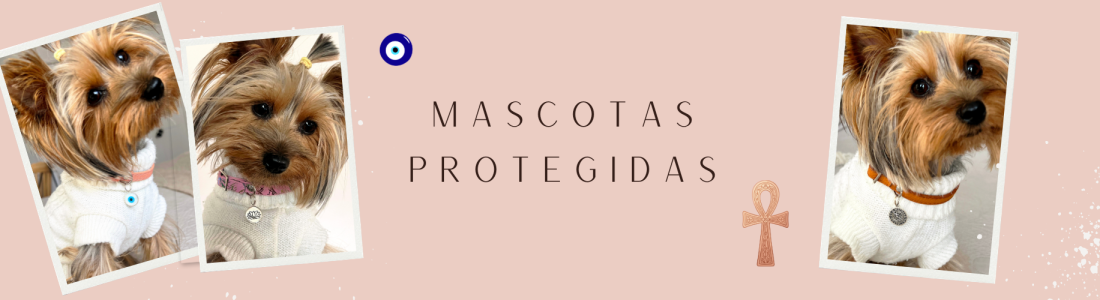 banner web (1) banner web (1)